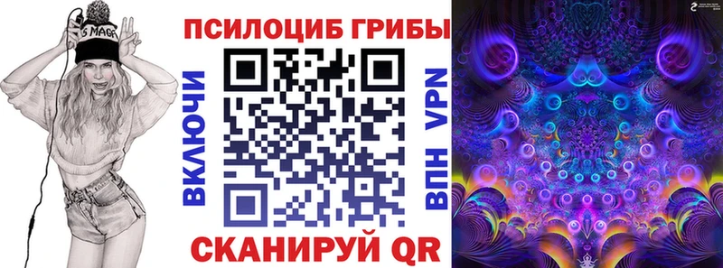 дарк нет Telegram  Гатчина  Галлюциногенные грибы ЛСД 