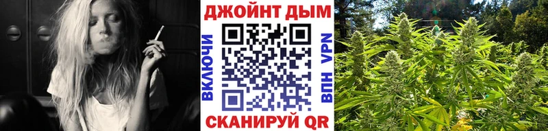 Бошки марихуана индика  кракен зеркало  Гатчина  где купить наркотик 